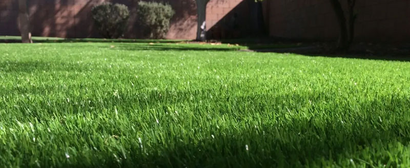 grass install repair services Malibu CA