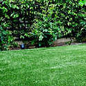 artificial grass services manhattan beach